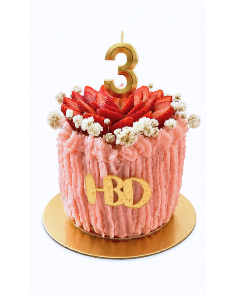 Torta De Cumpleaños Moderna Para Mascotas