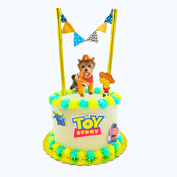 Torta De Cumpleaños Temática Para Mascotas